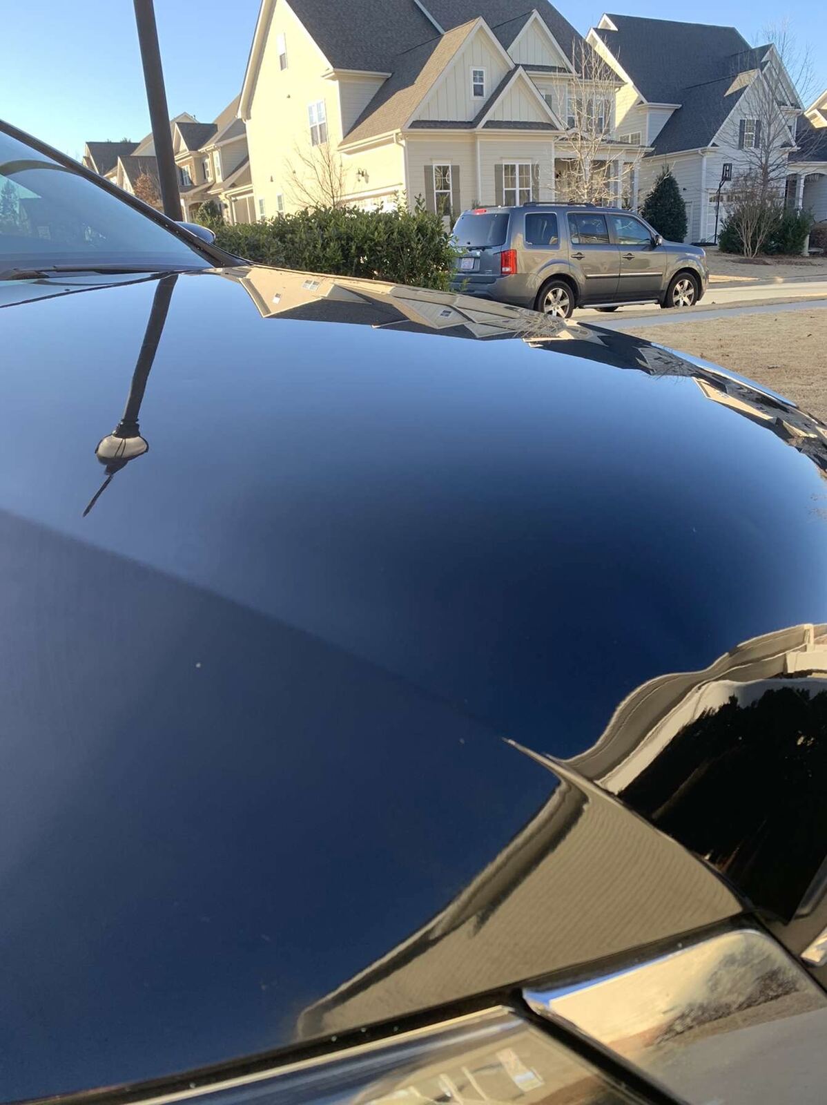 Freshly detailed glossy black hood