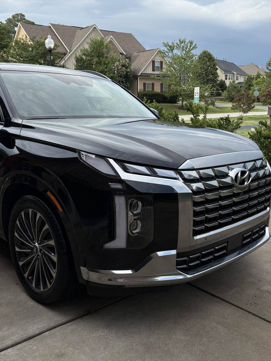Freshly detailed black Palisade in a Cary driveway
